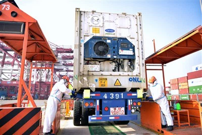 الخضار لوجستيات سلسلة البرد